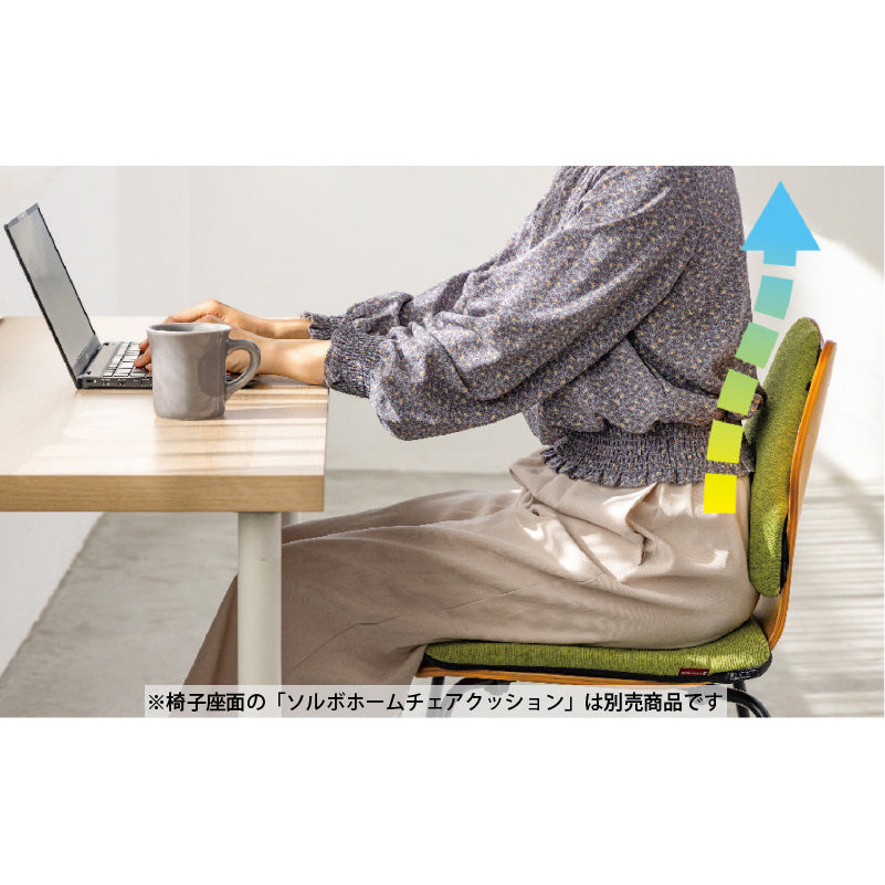 ソルボホームランバーサポート グリーン