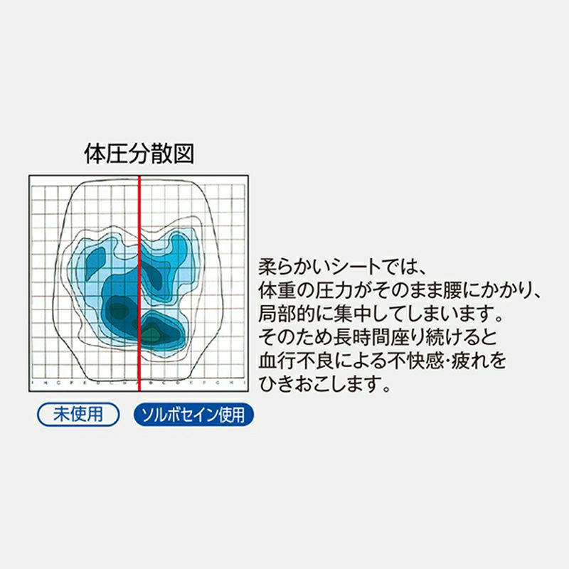 ソルボらく楽ランバーサポート　ブラック