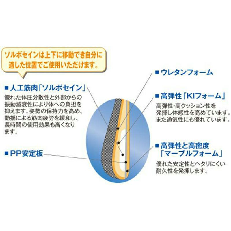ソルボらく楽ランバーサポート　ブラック