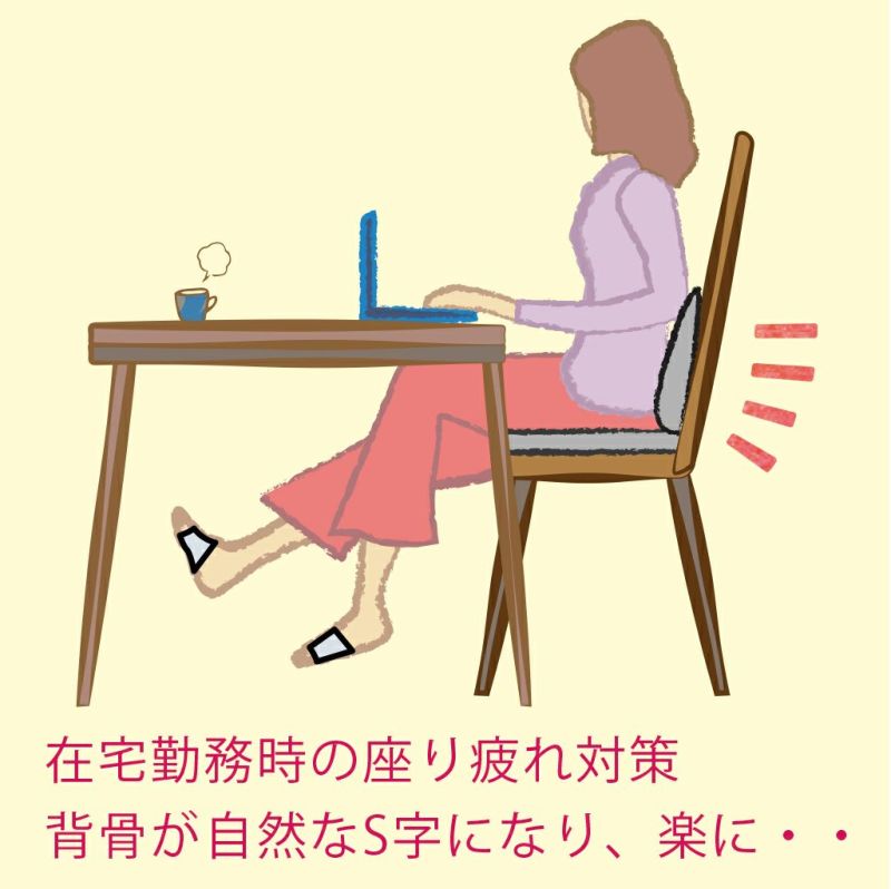 ソルボらく楽ランバーサポート　ブラック
