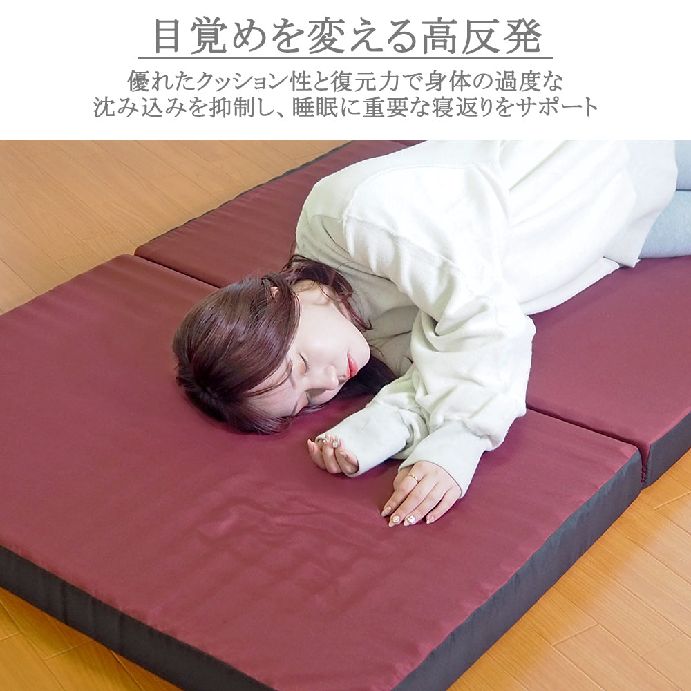 [AK-332 D] 大小２つの山が身体を支える体圧分散マットレス ダブル