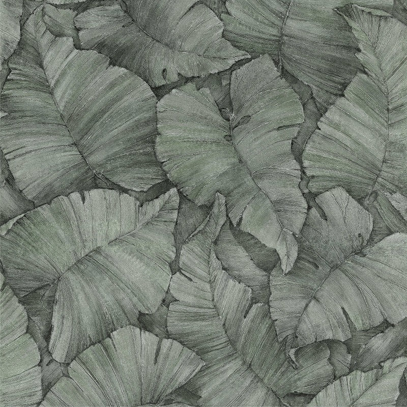 壁STRYⅡ　AC002-03