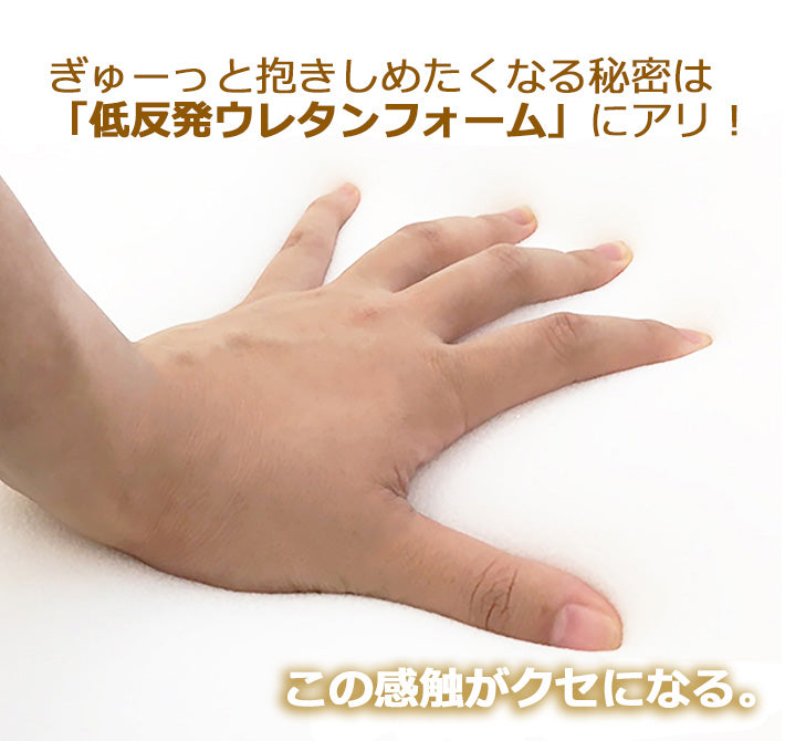 [AK-BLSTR] もちっと低反発抱き枕