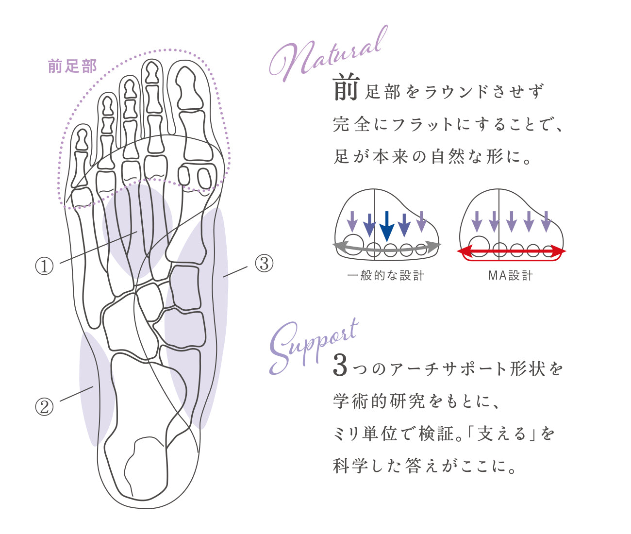 アキレス・ソルボ C 624　オーク